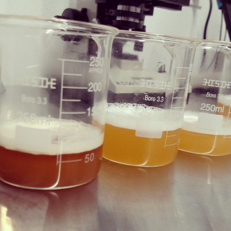 Read more about the article The Science of Brewing: How Riggs Beer Company Masters Yeast Management