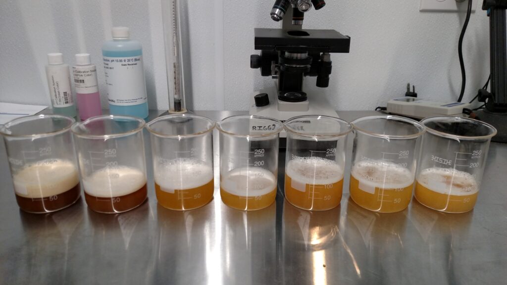 LabWork